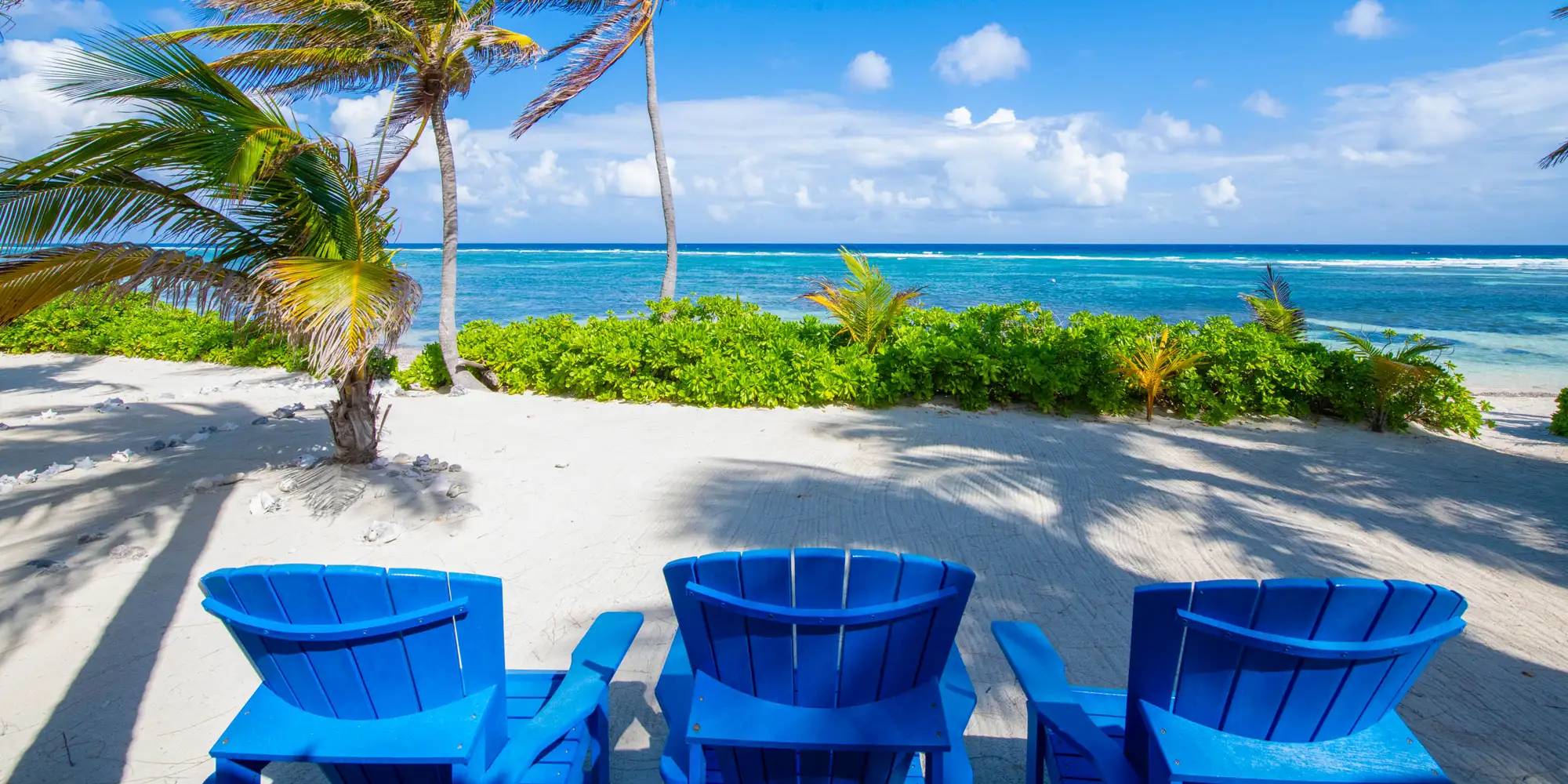 Coconut Beach Villa photo 16