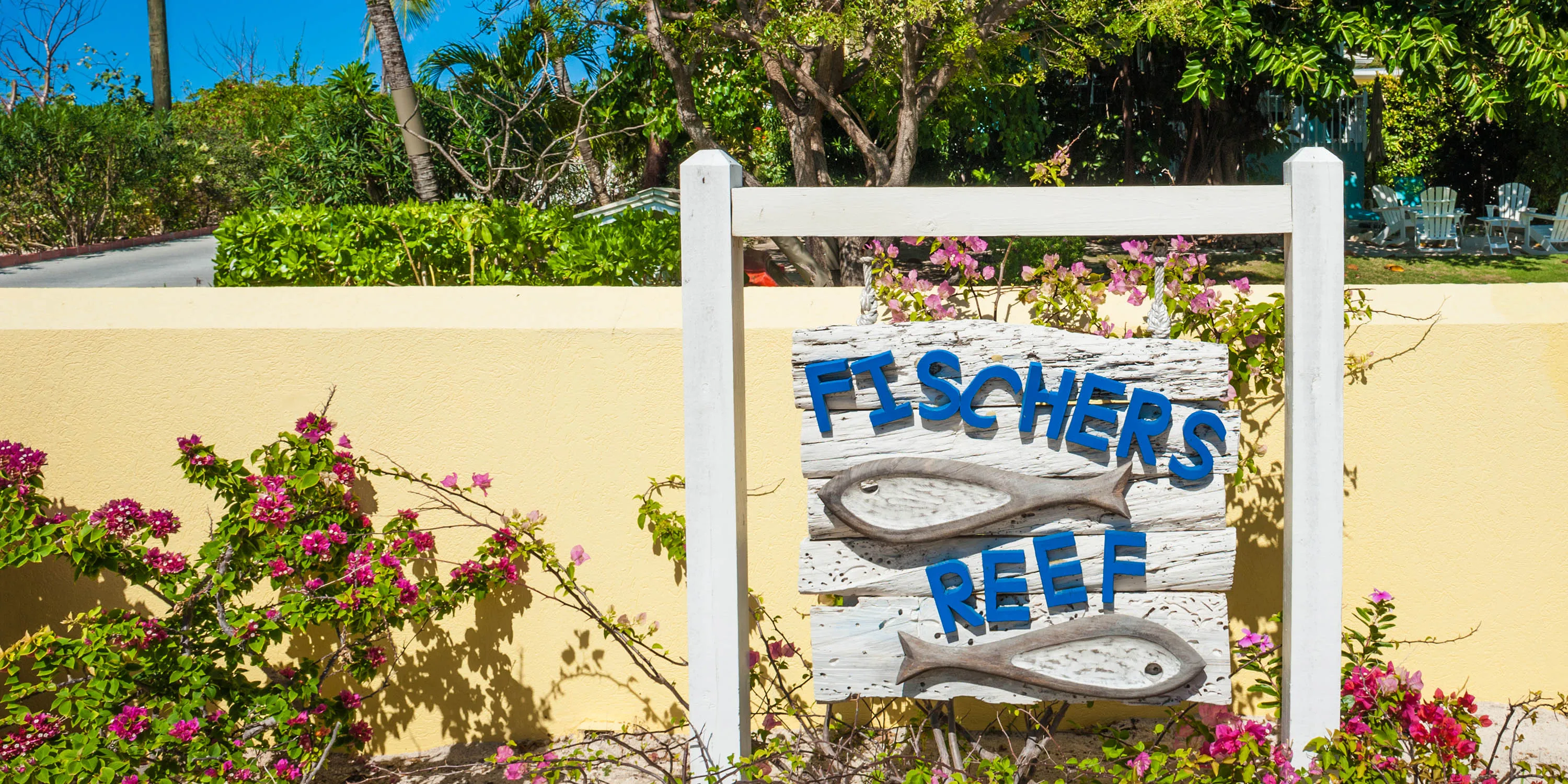 Fischer’s Reef photo 10
