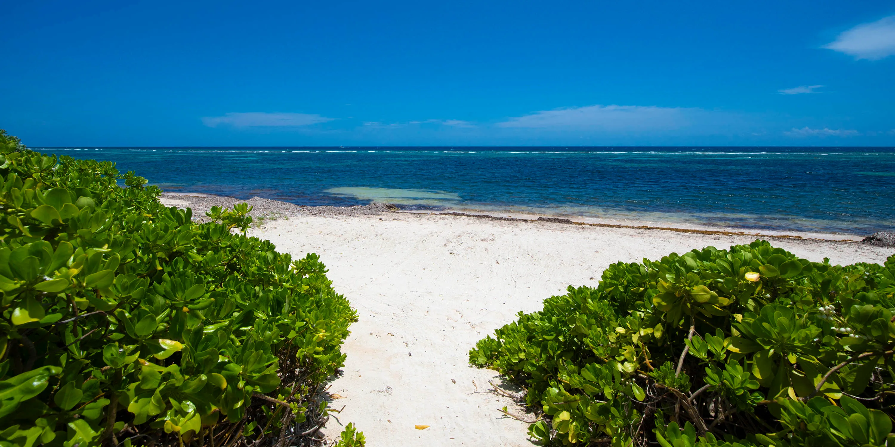 Olympus: 5-Bedroom Oceanfront Villa in Rum Point photo 44
