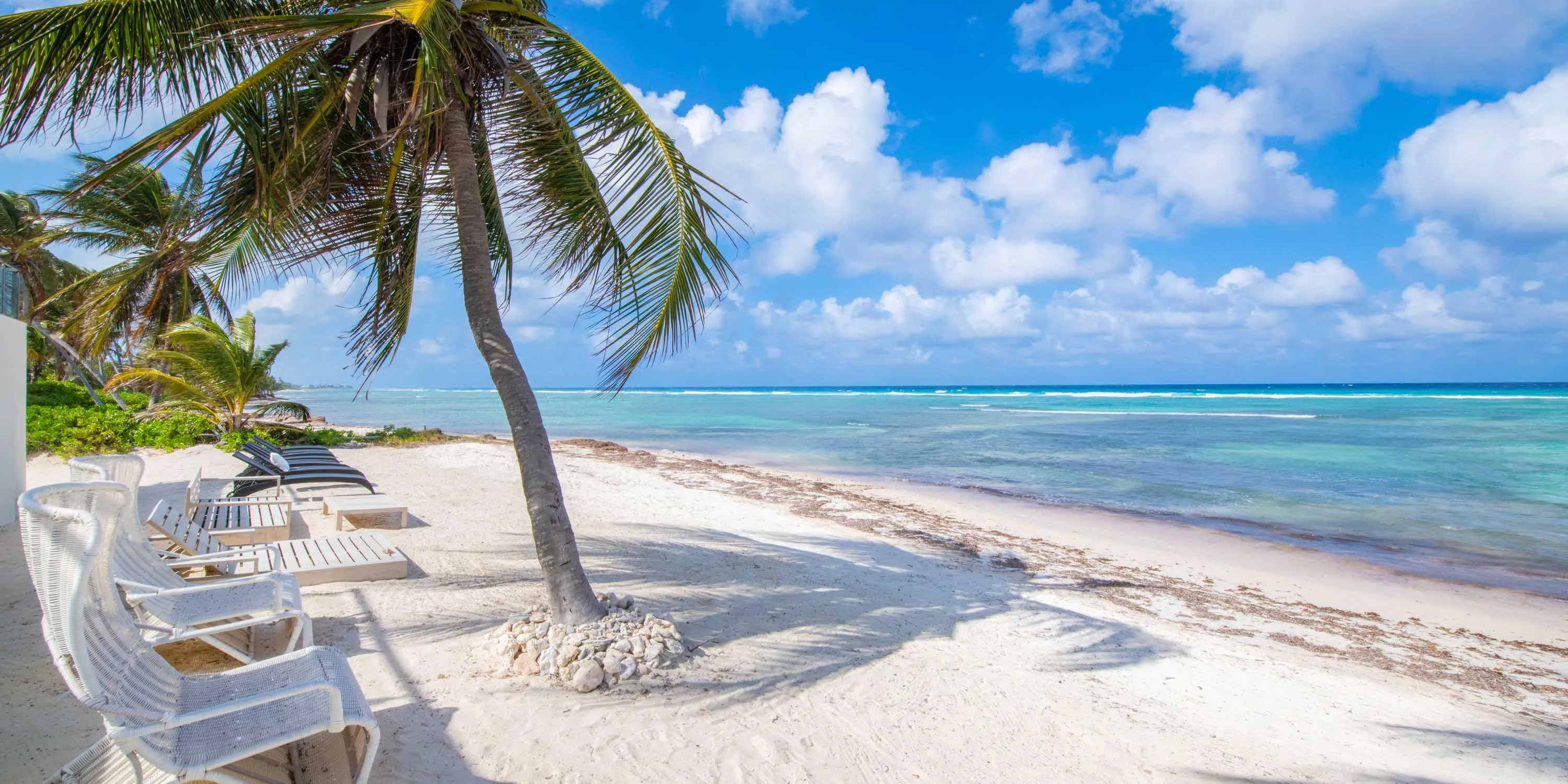 Timeless Paradise photo 9